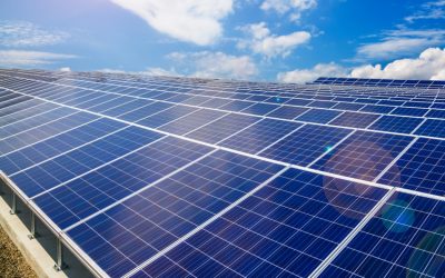 Installation of 10MW Photovoltaic Park in Cartaxo completed